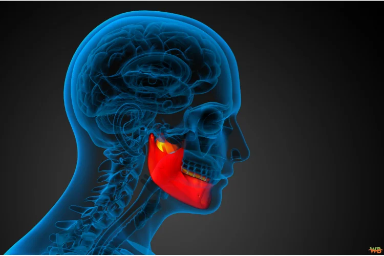 The Dental Bone Graft Healing Stages